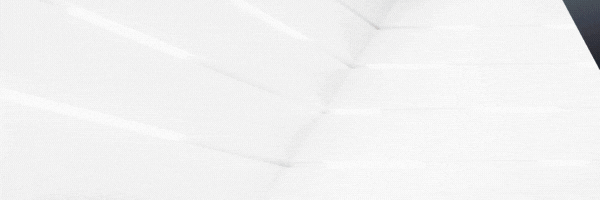 WEDDING Trophées de l'excellence entrepreneuriale congolaise.gif (726 KB)